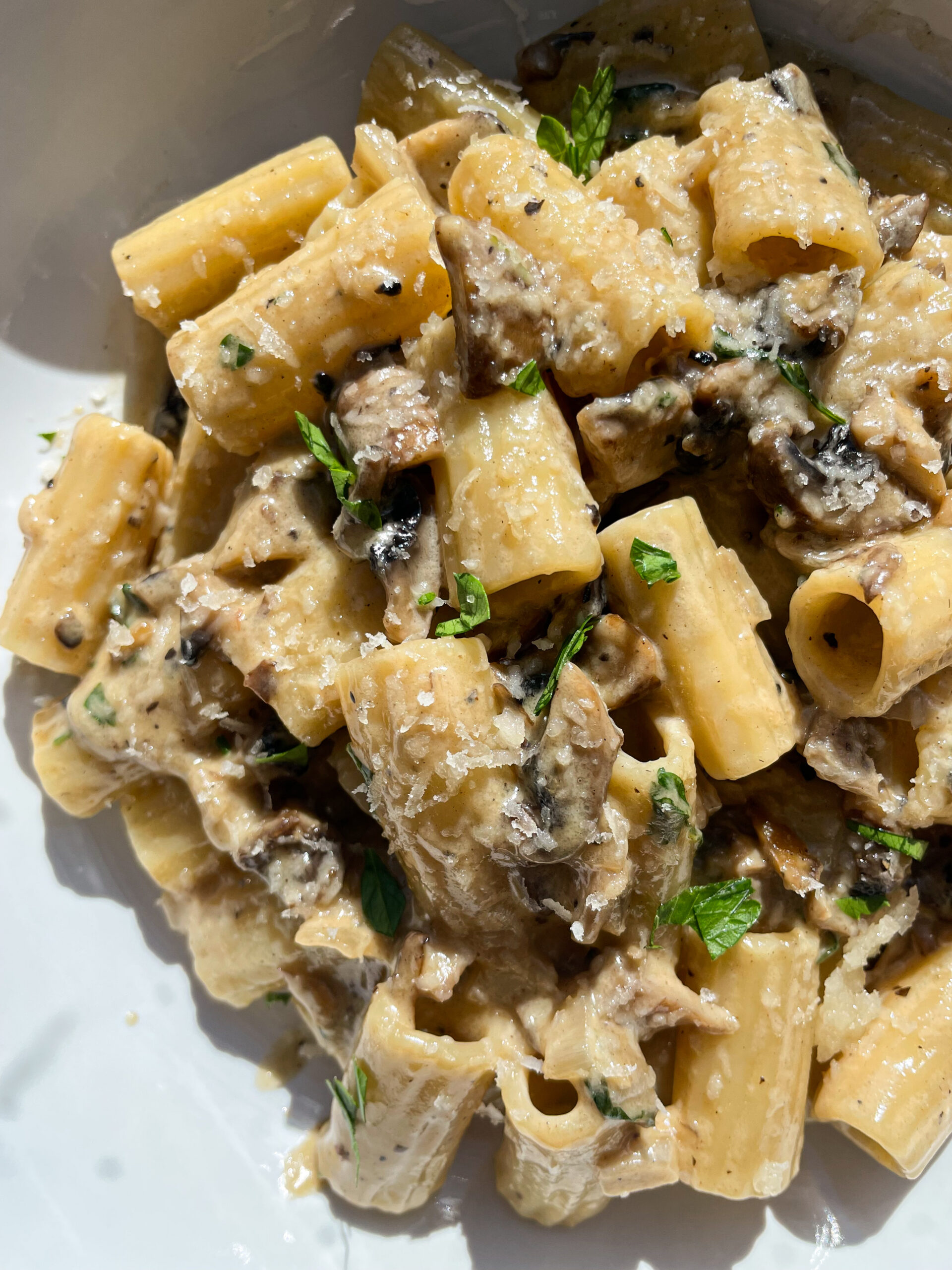 Funghi Rigatoni Recipe
