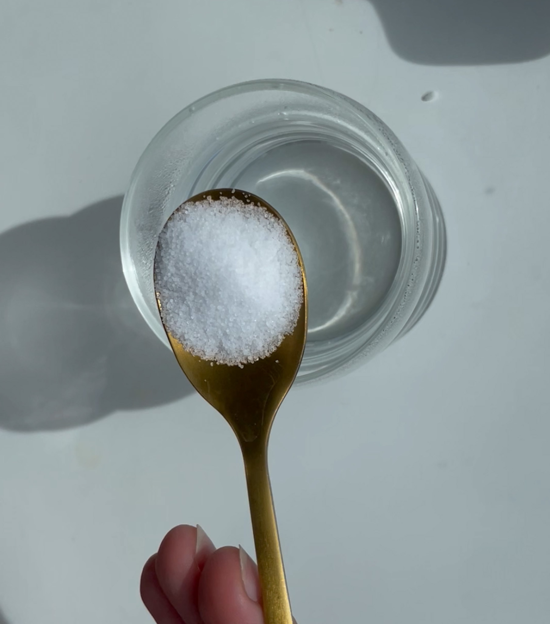 Adding sauger in the water