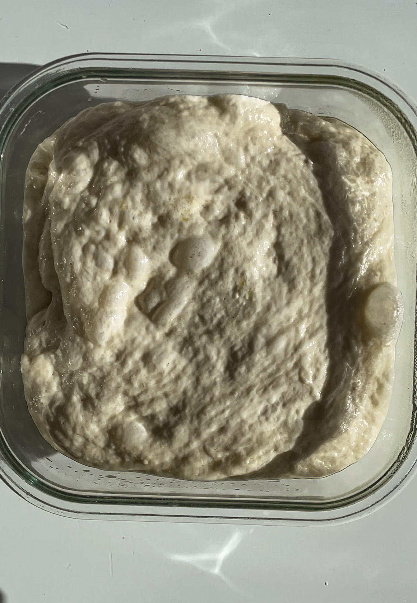 New York Style Pizza Dough