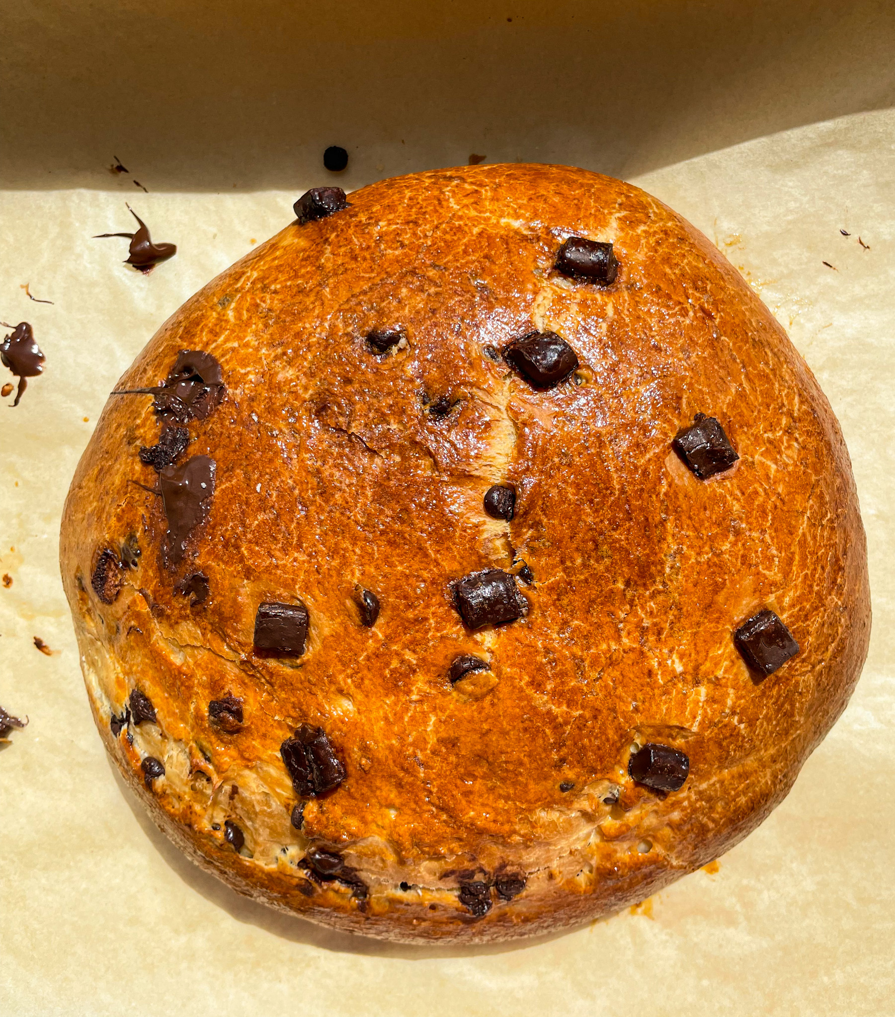 Chocolate Chip Brioche