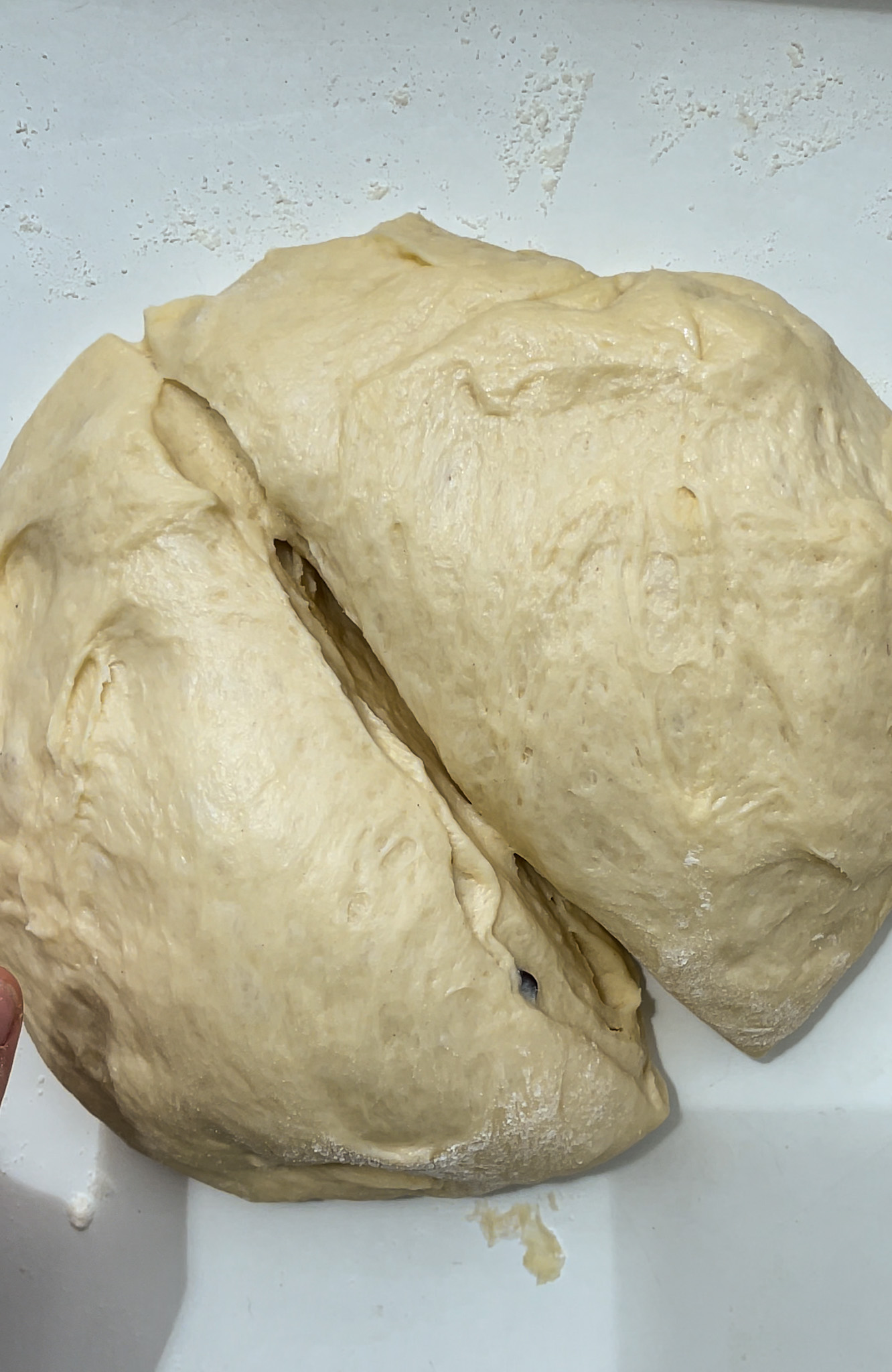 Kneaded Flour for Chocolate Chip Brioche bread