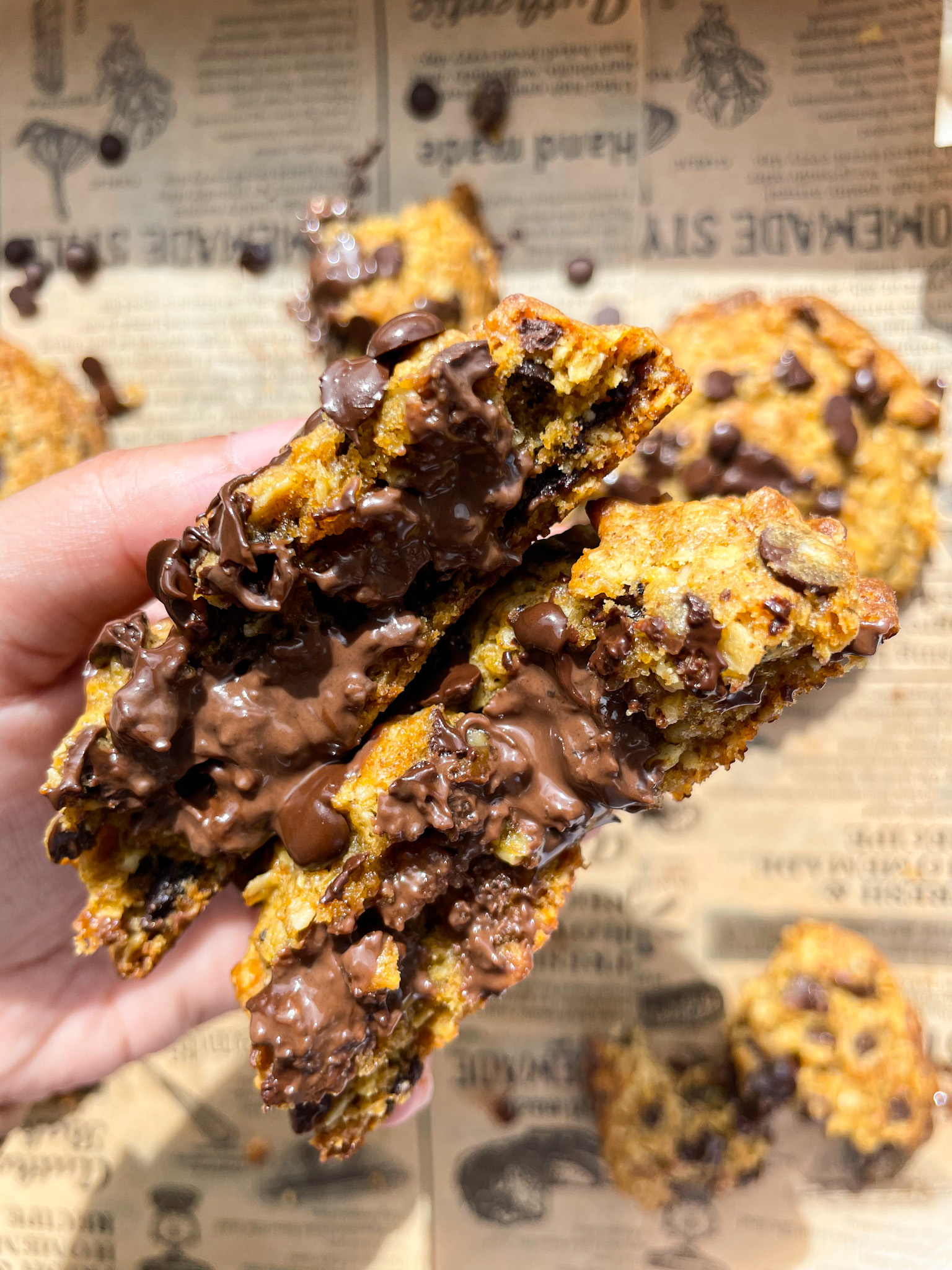 CHOCOLATE PUMPKIN OATMEAL COOKIES