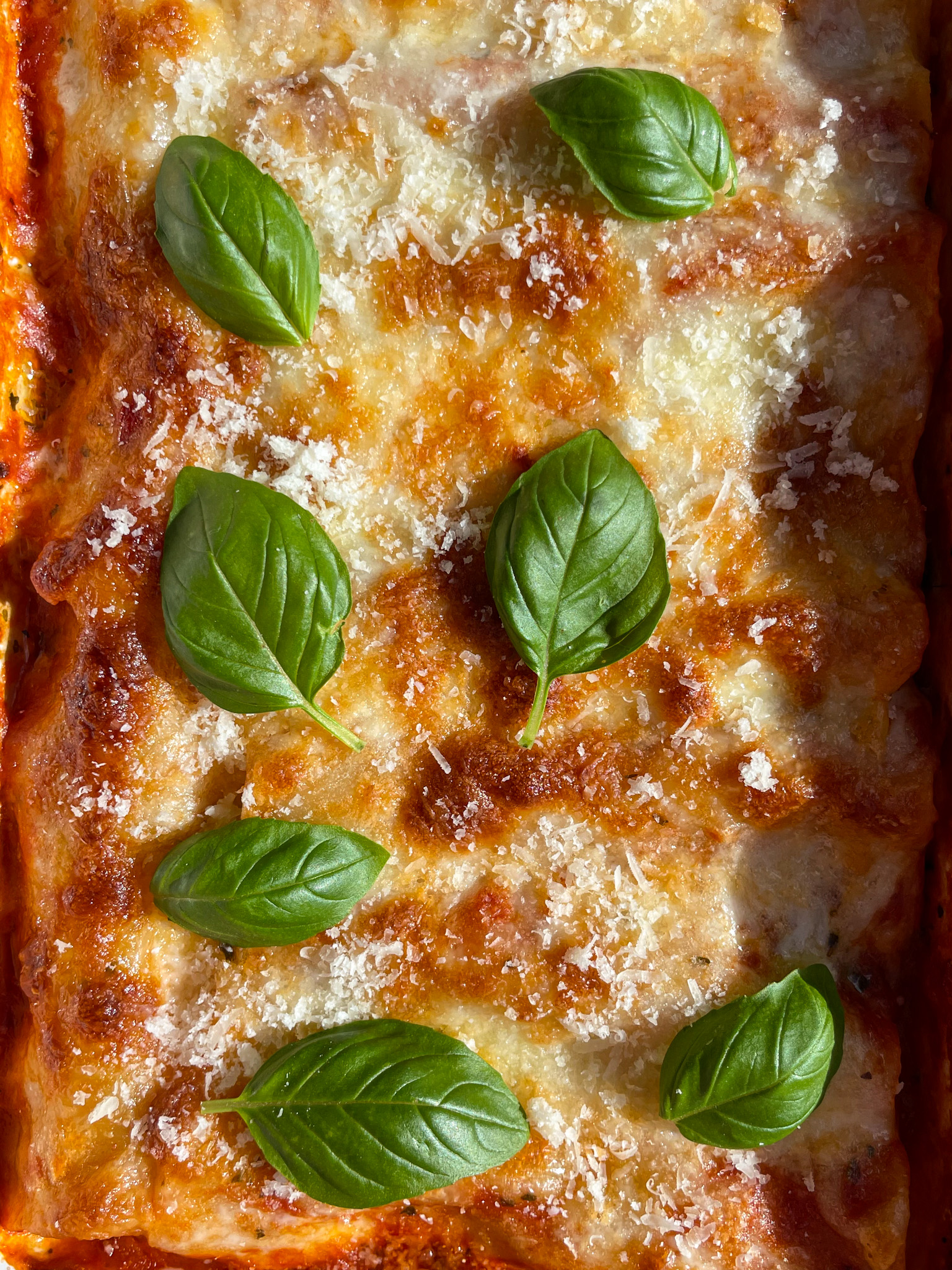 Tomato Mozzarella Stuffed Cannelloni