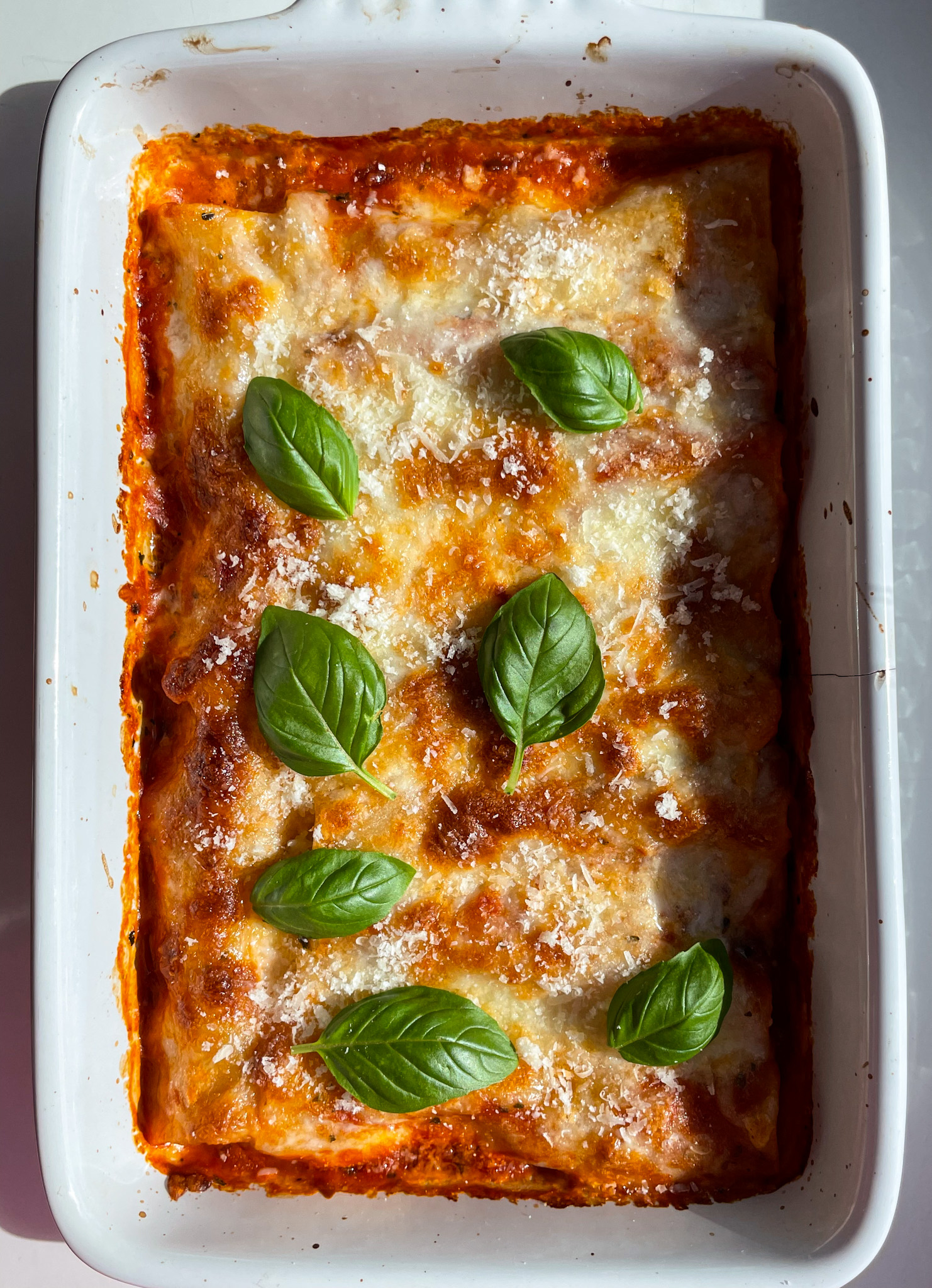 Tomato Mozzarella Stuffed Cannelloni