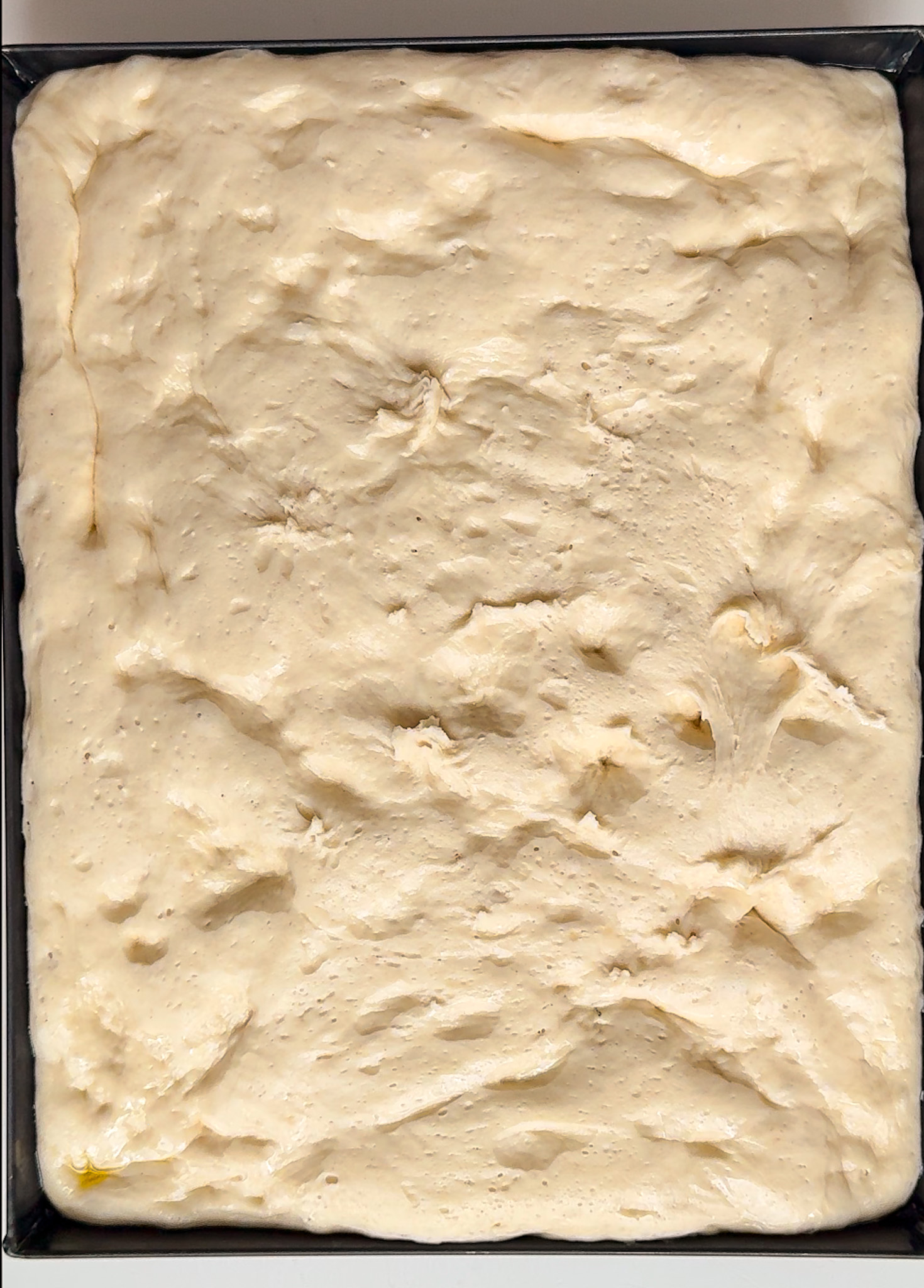 Detroit Style Pizza Dough