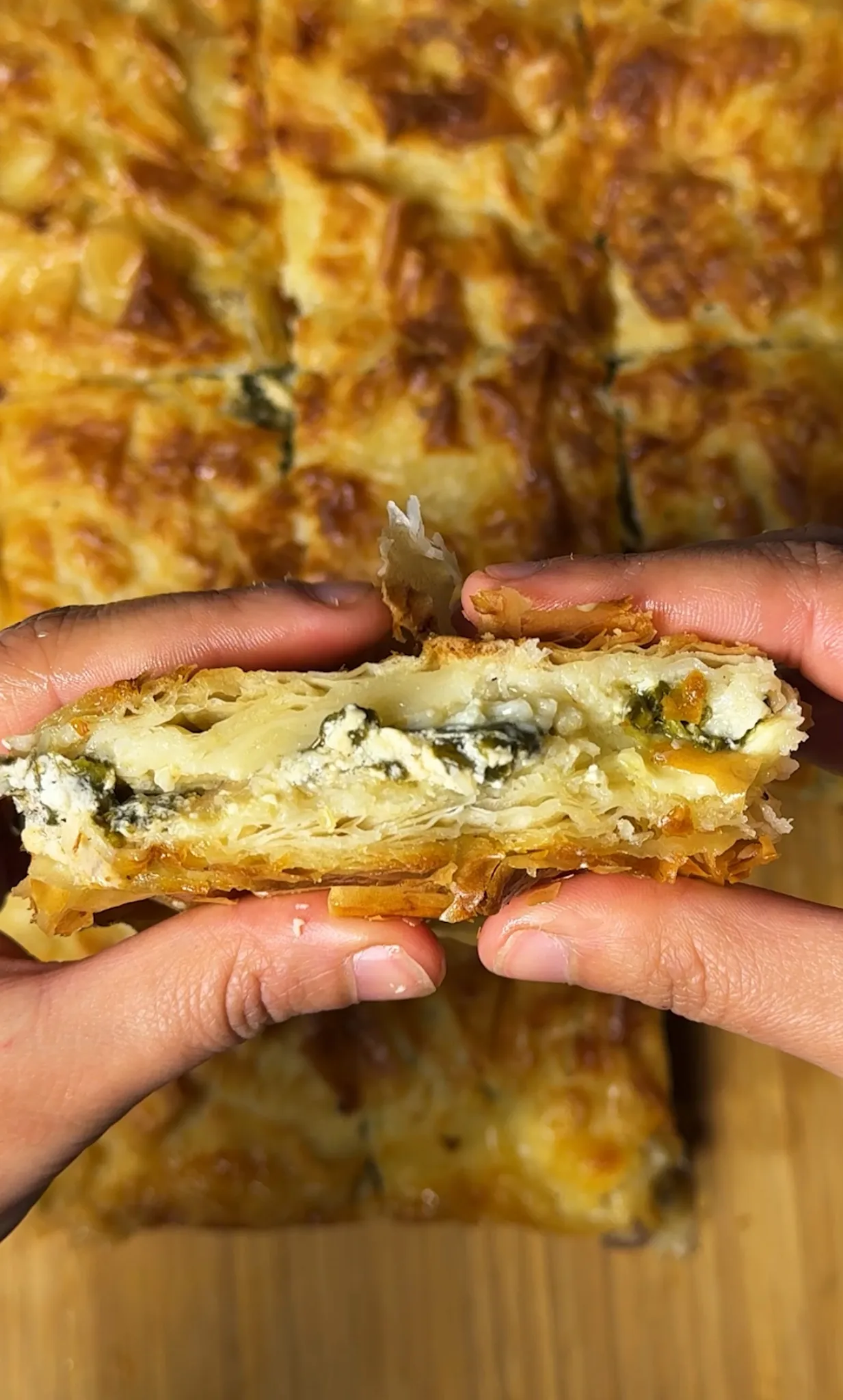 Turkish spinach börek