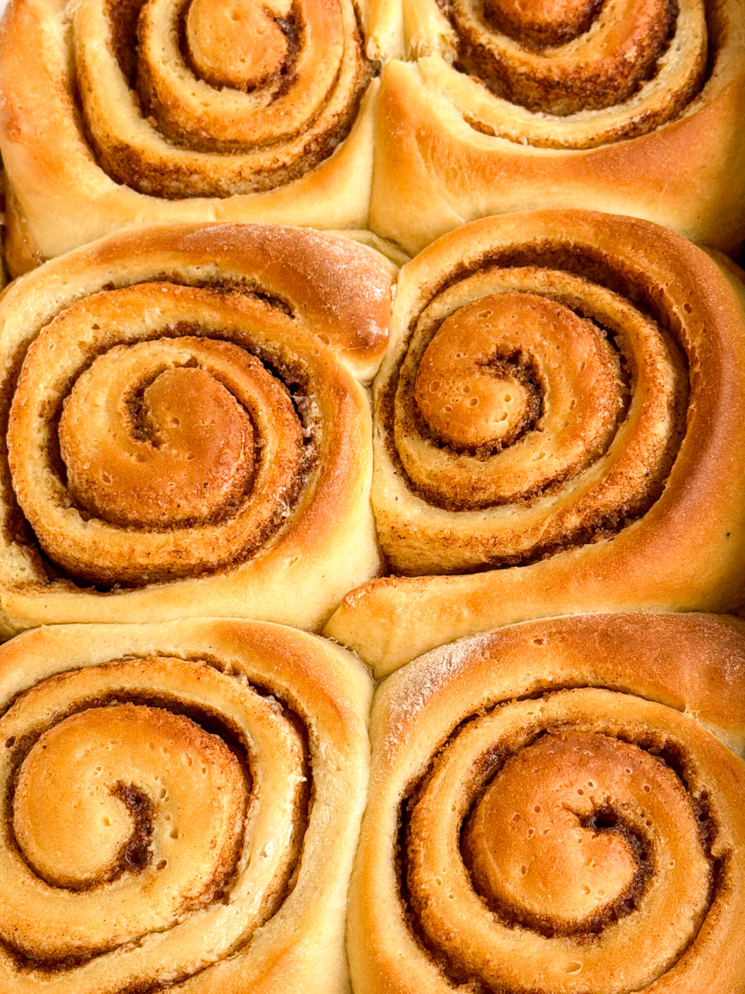 Cinnamon-roll